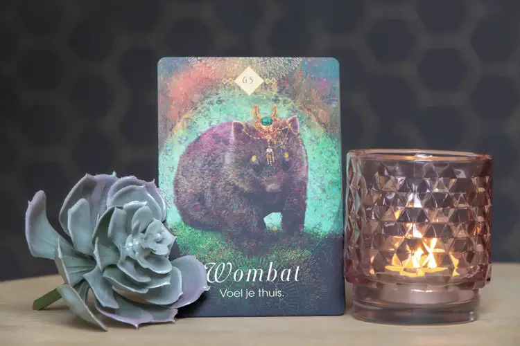 65. Wombat – Voel je thuis. | Boodschappen van de dieren orakel – Colette Baron-Reid
